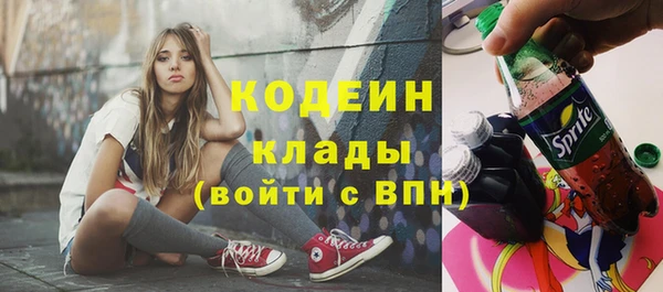 хмурый Сатка